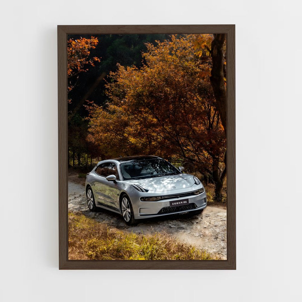 Poster Zeekr organique – affiche Geely (vue 5)